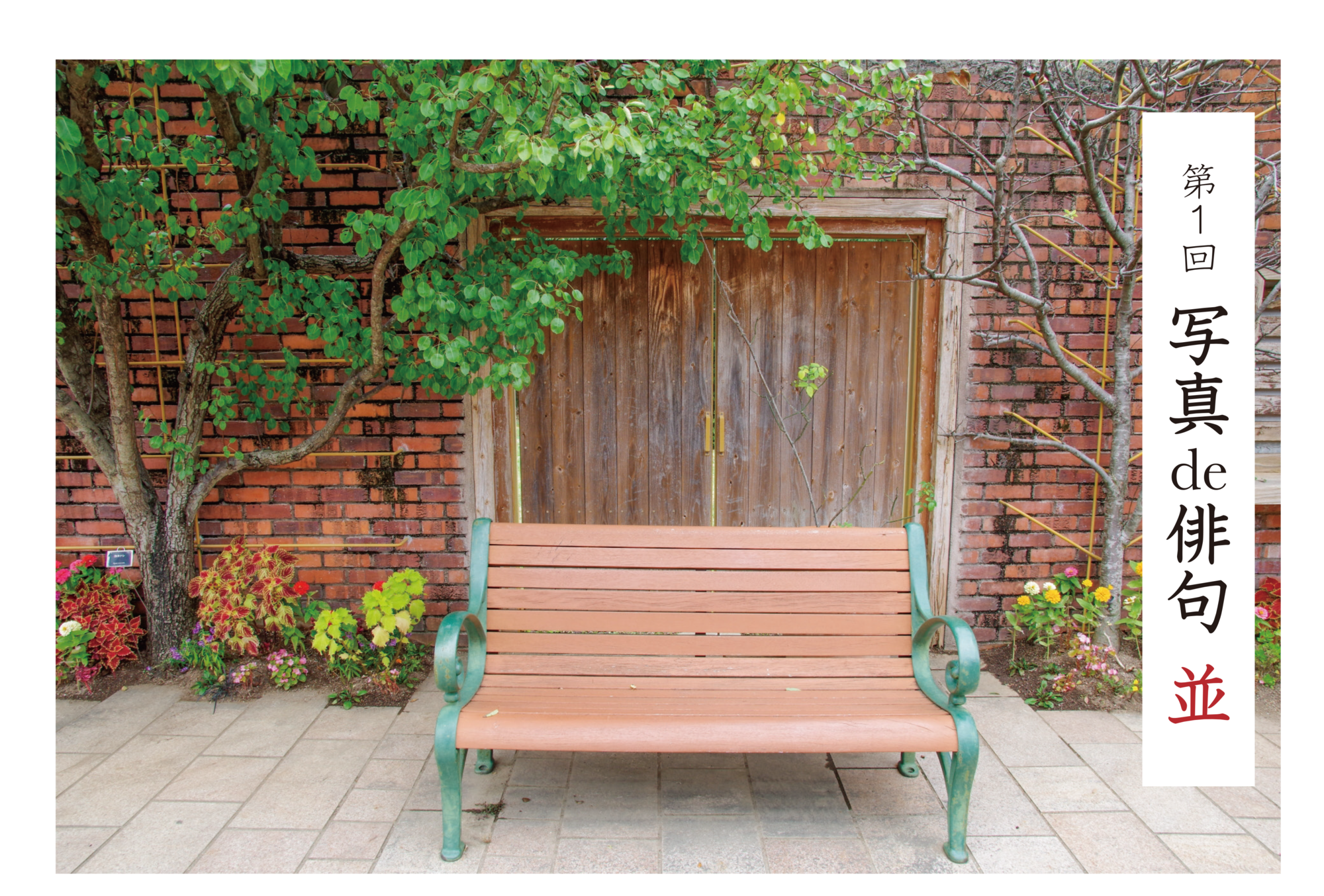 第1回 写真de俳句 並 夏井いつきのおウチde俳句くらぶ 第1回 写真de俳句 並 夏井いつきのおウチde俳句くらぶ