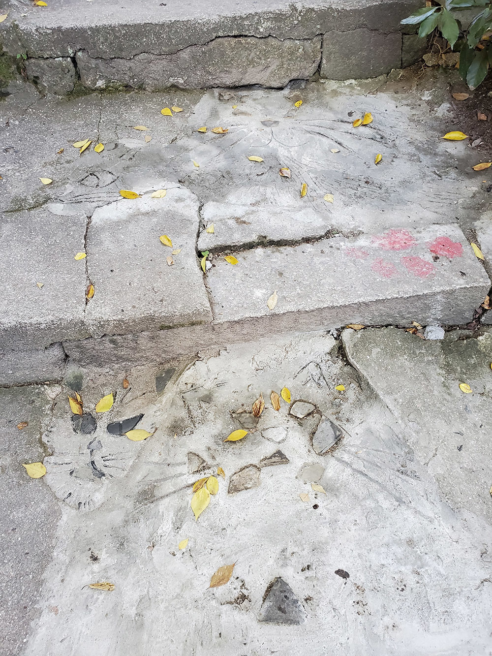 第３回 写真de俳句 ハシ坊と学ぼう 夏井いつきのおウチde俳句くらぶ