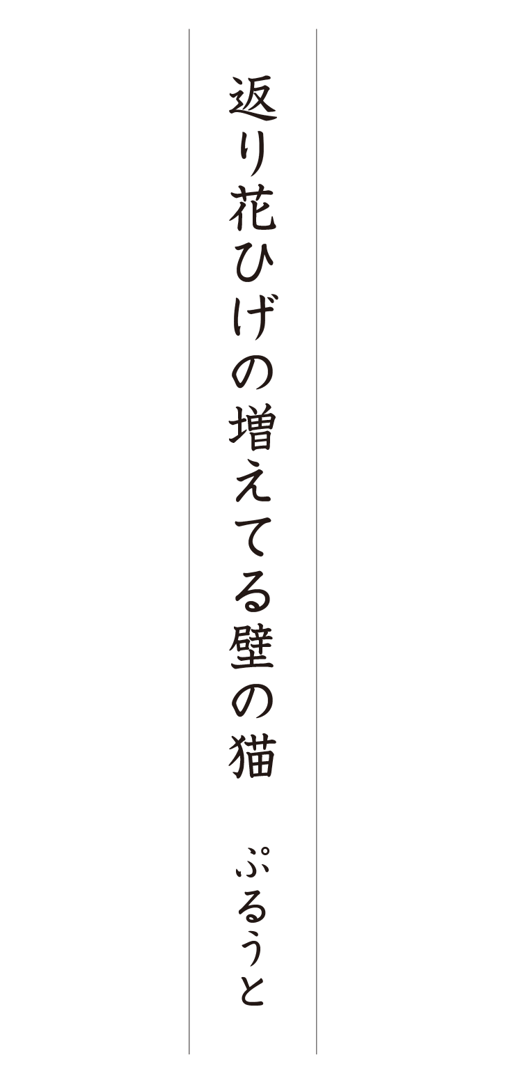 第３回 写真de俳句 地 夏井いつきのおウチde俳句くらぶ