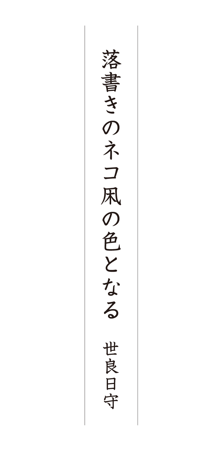 第３回 写真de俳句 地 夏井いつきのおウチde俳句くらぶ