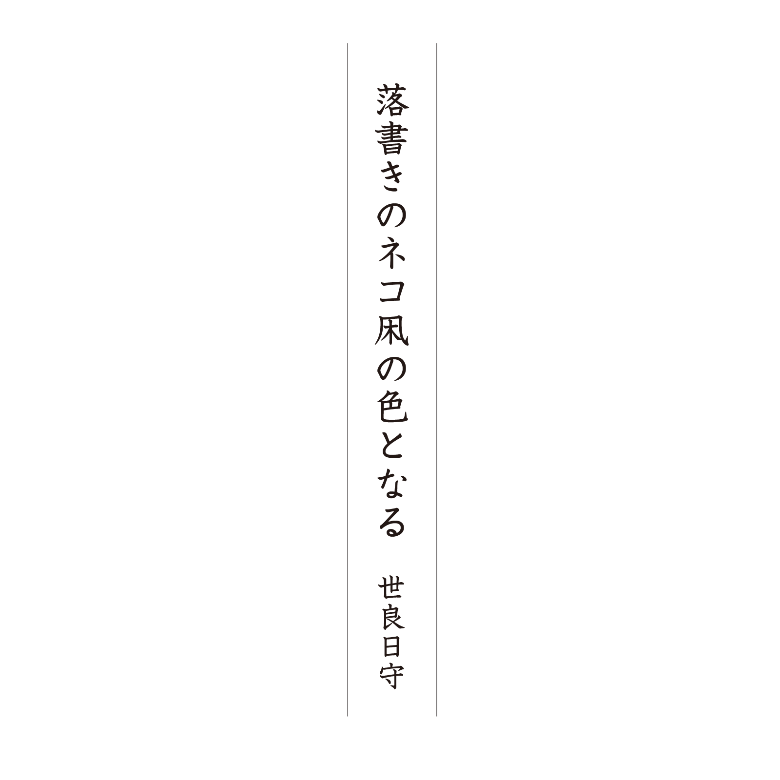 第３回 写真de俳句 地 夏井いつきのおウチde俳句くらぶ