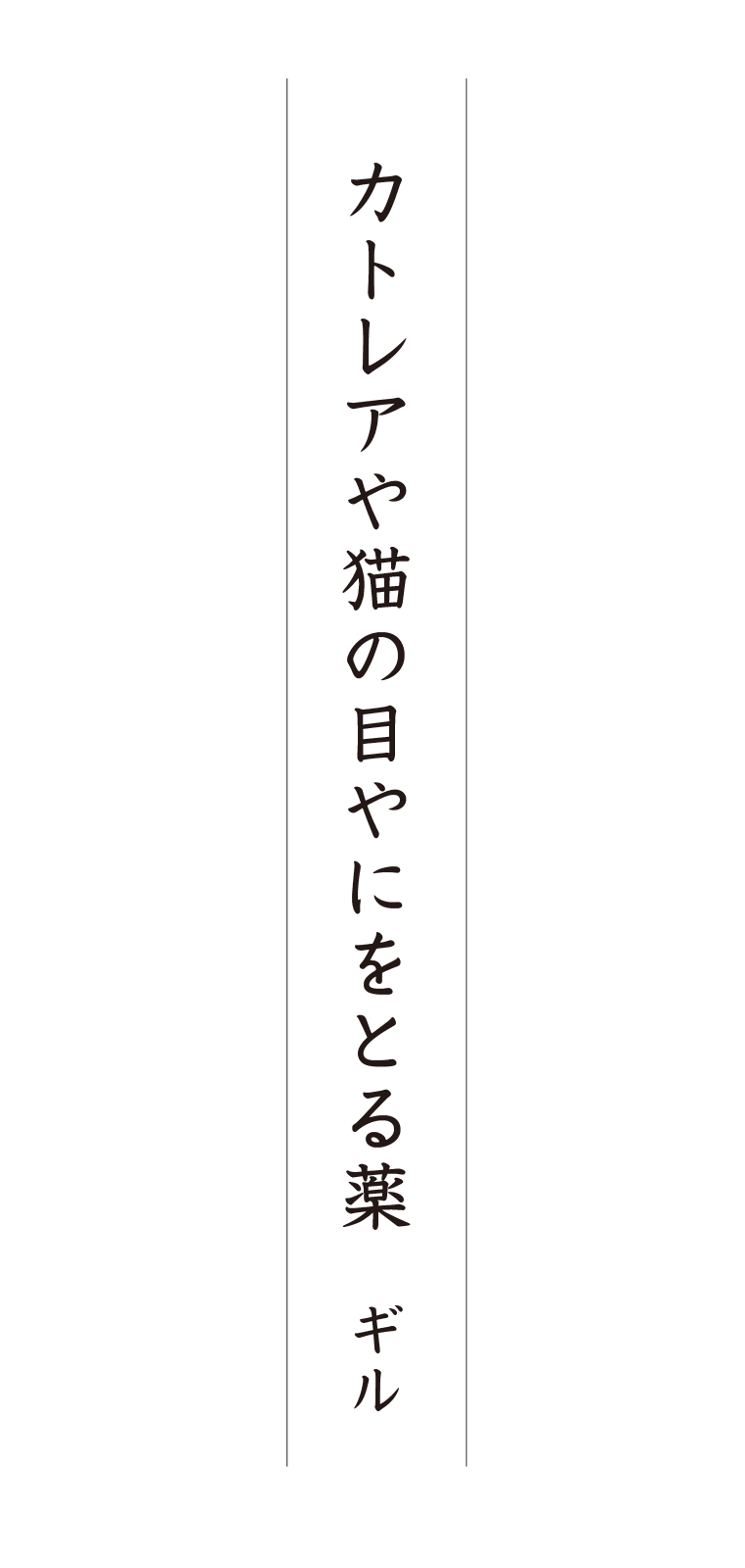 第３回 写真de俳句 地 夏井いつきのおウチde俳句くらぶ