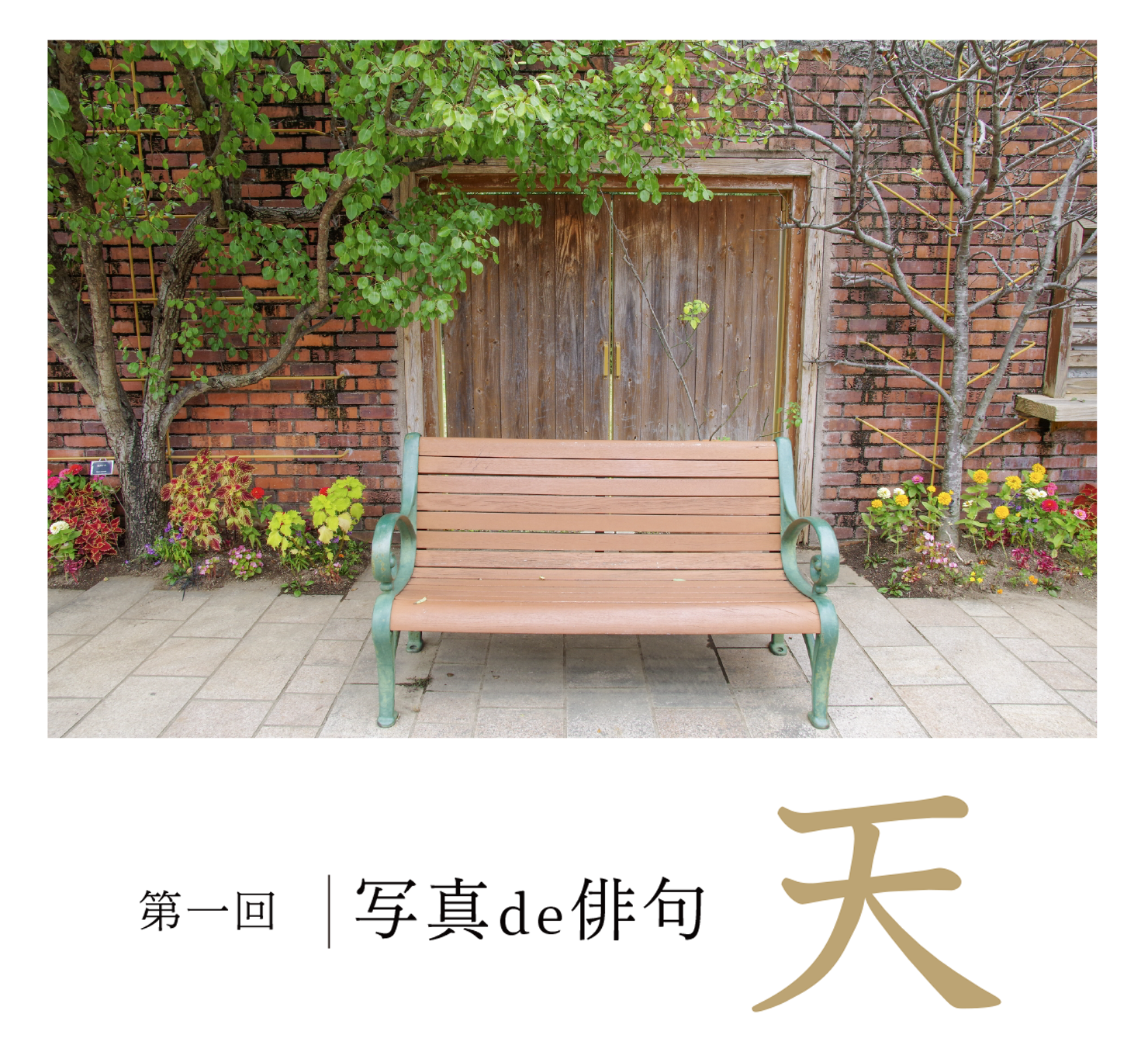 第1回写真de俳句 天