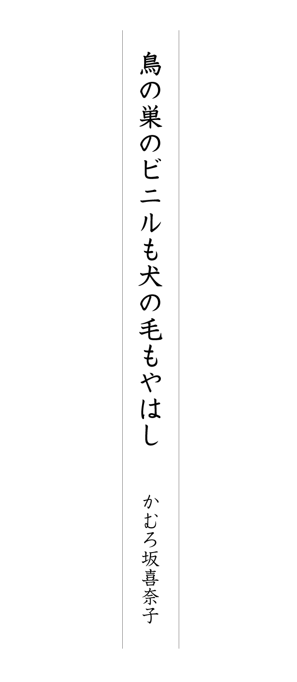 鳥の巣のビニルも犬の毛もやはし かむろ坂喜奈子