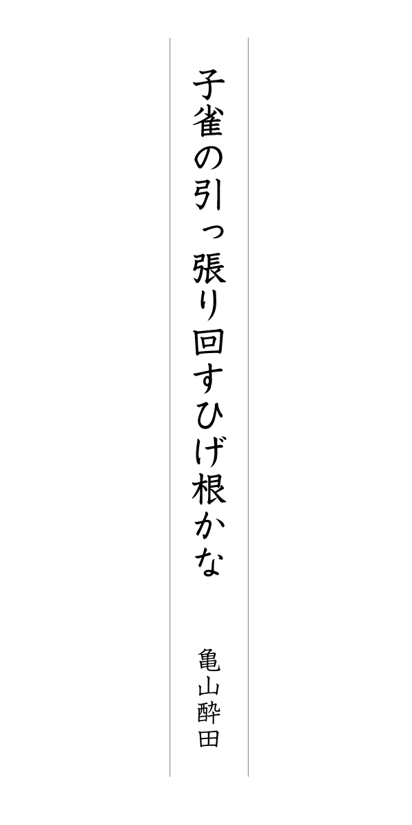 子雀の引っ張り回すひげ根かな 亀山酔田