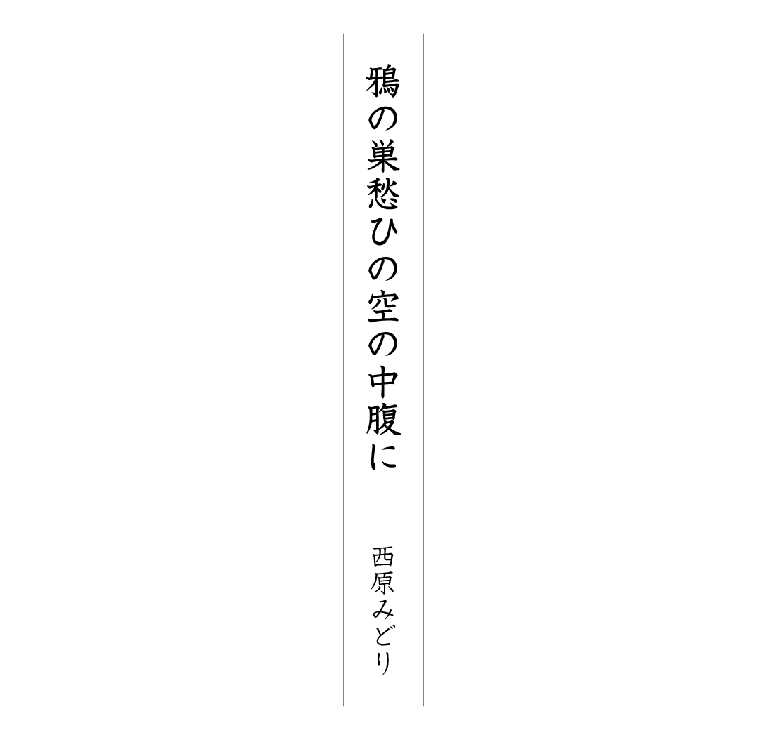 鴉の巣愁ひの空の中腹に 西原みどり