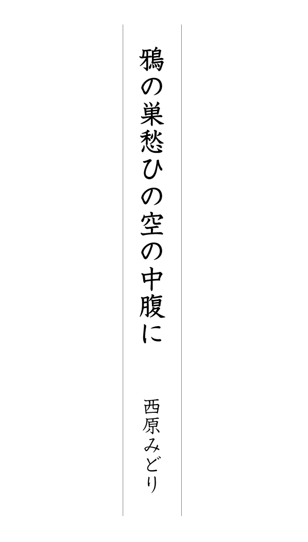 鴉の巣愁ひの空の中腹に 西原みどり