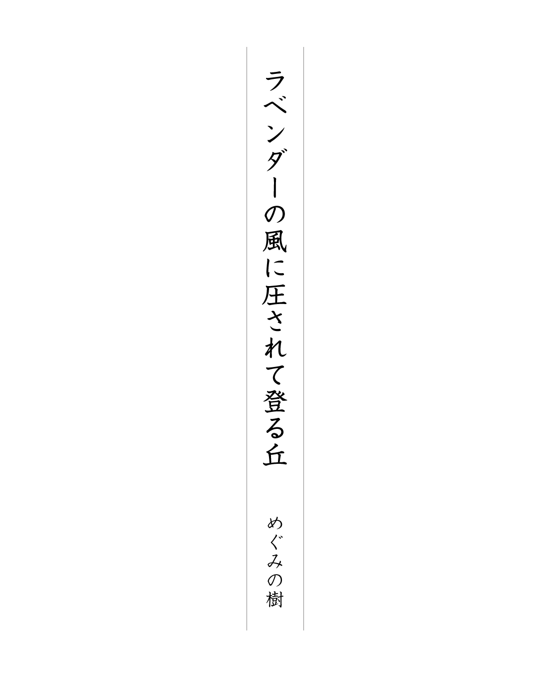 ラベンダーの風に圧されて登る丘 めぐみの樹