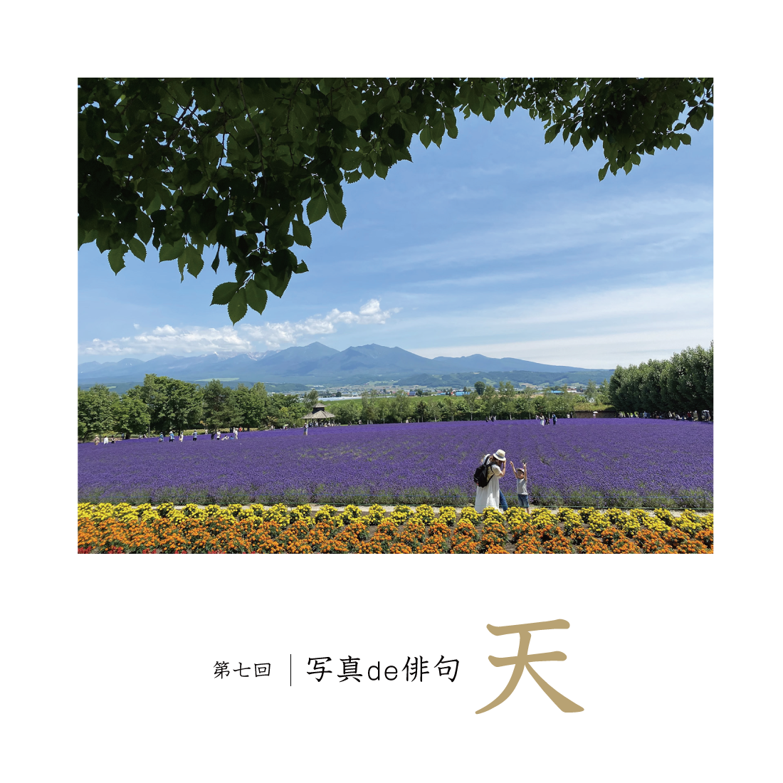 第七回写真de俳句 天