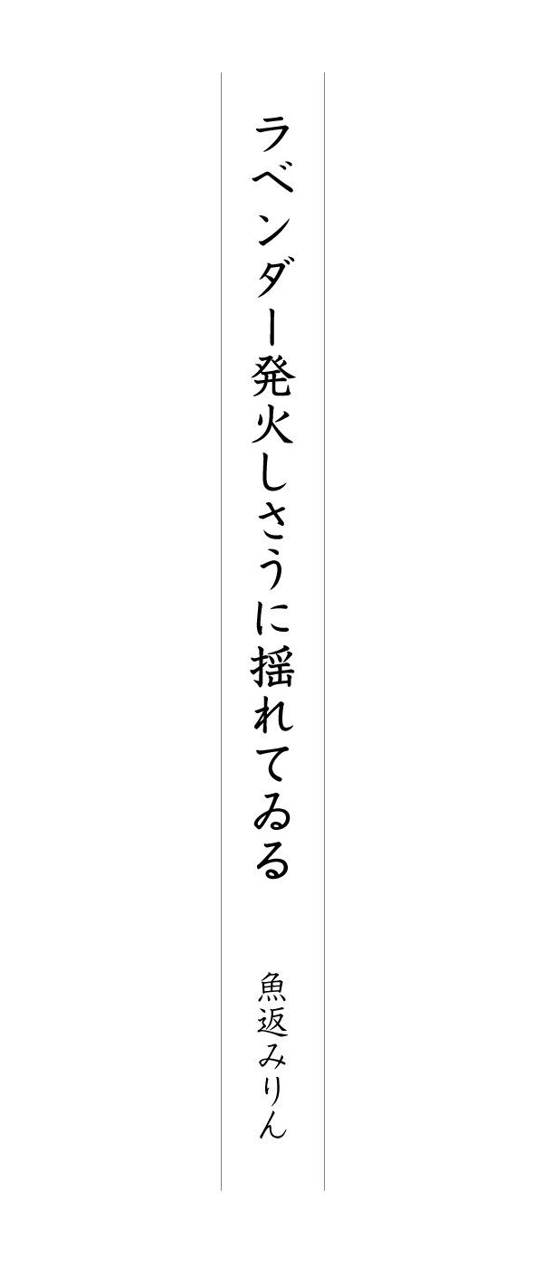ラベンダー発火しさうに揺れてゐる 魚返みりん