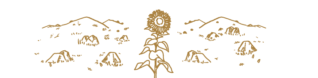 向日葵よ荒地の王となりにけり