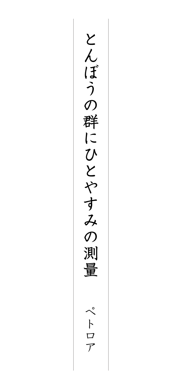 とんぼうの群にひとやすみの測量 ペトロア