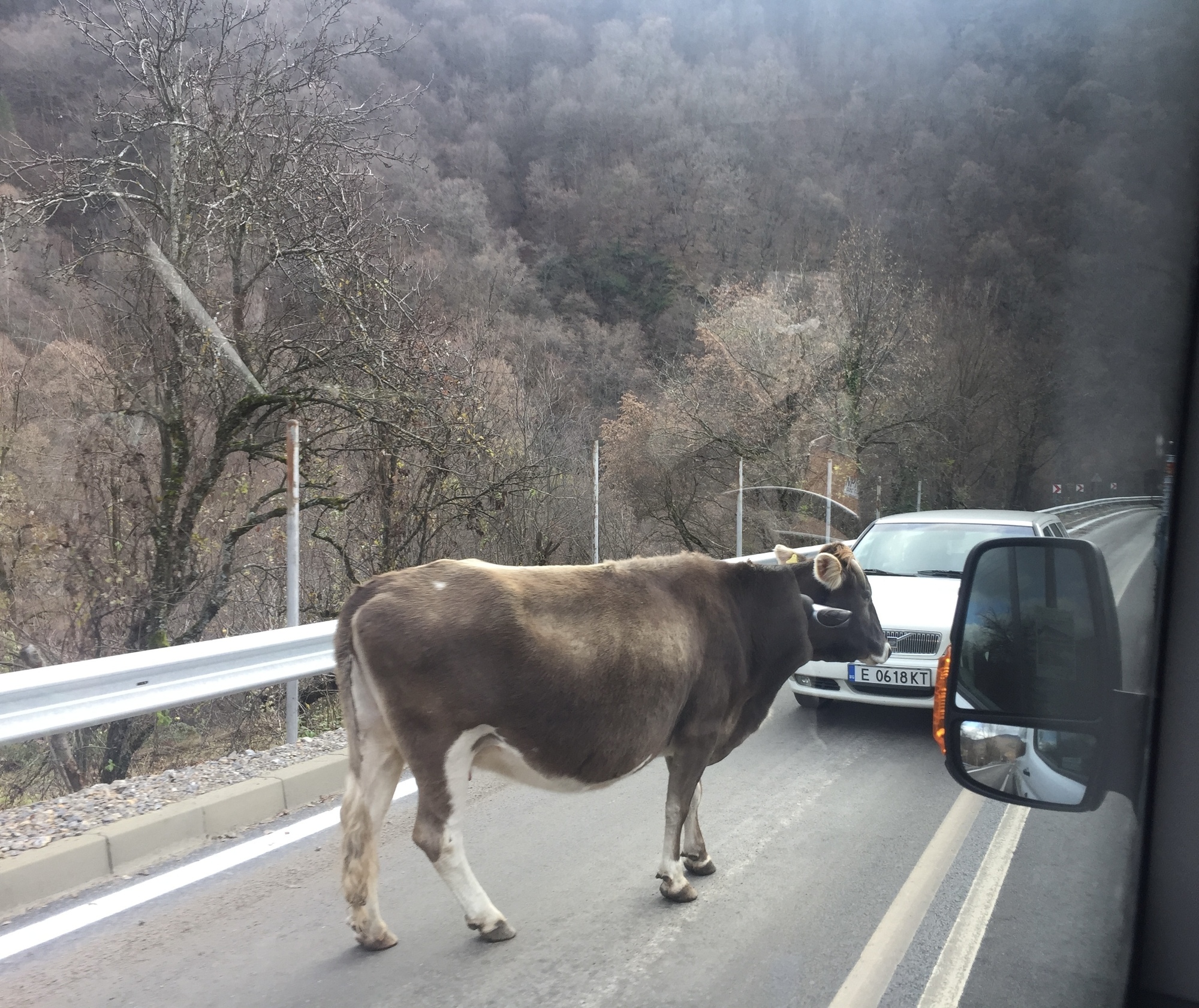 ブルガリアの道路