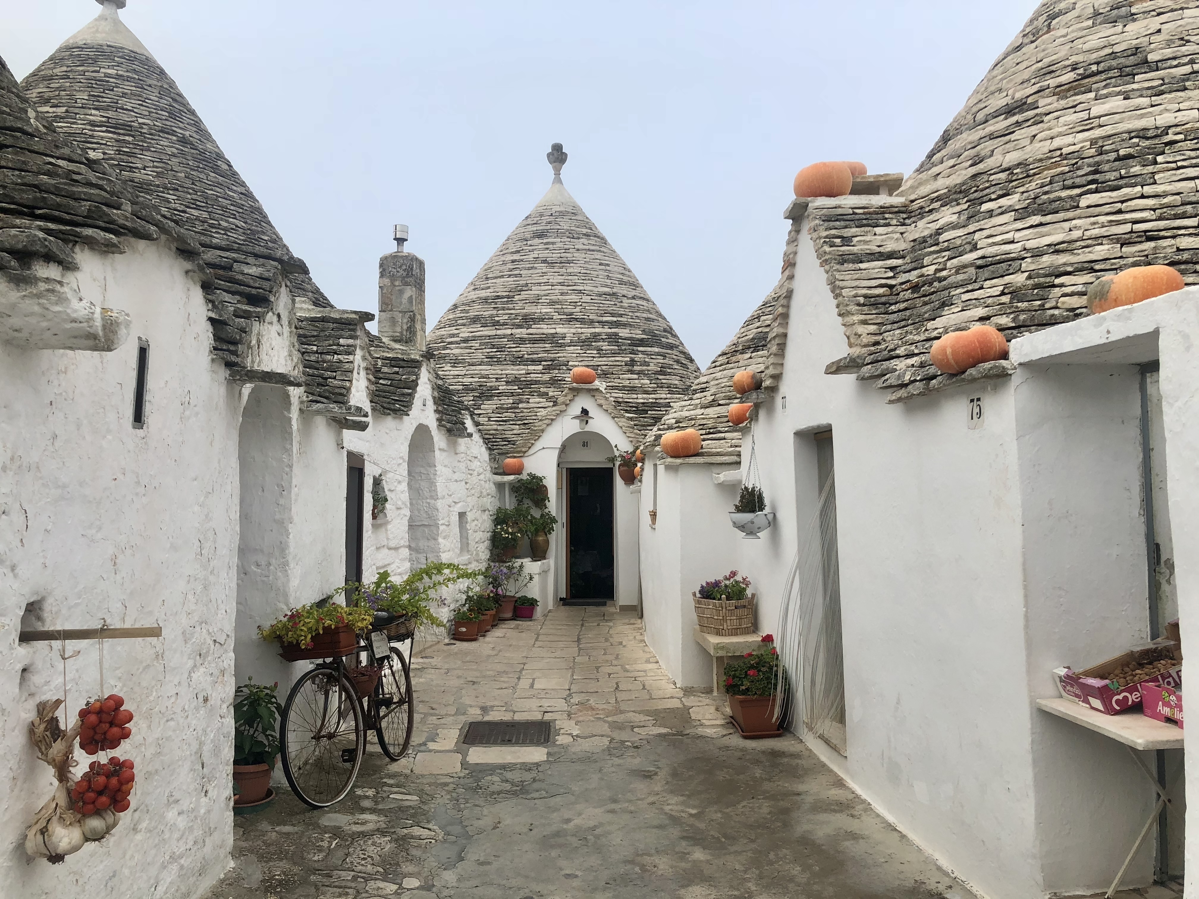 第17回のお題 アルベロベッロの種物屋 締切 22年２月10日 木 夏井いつきのおウチde俳句くらぶ