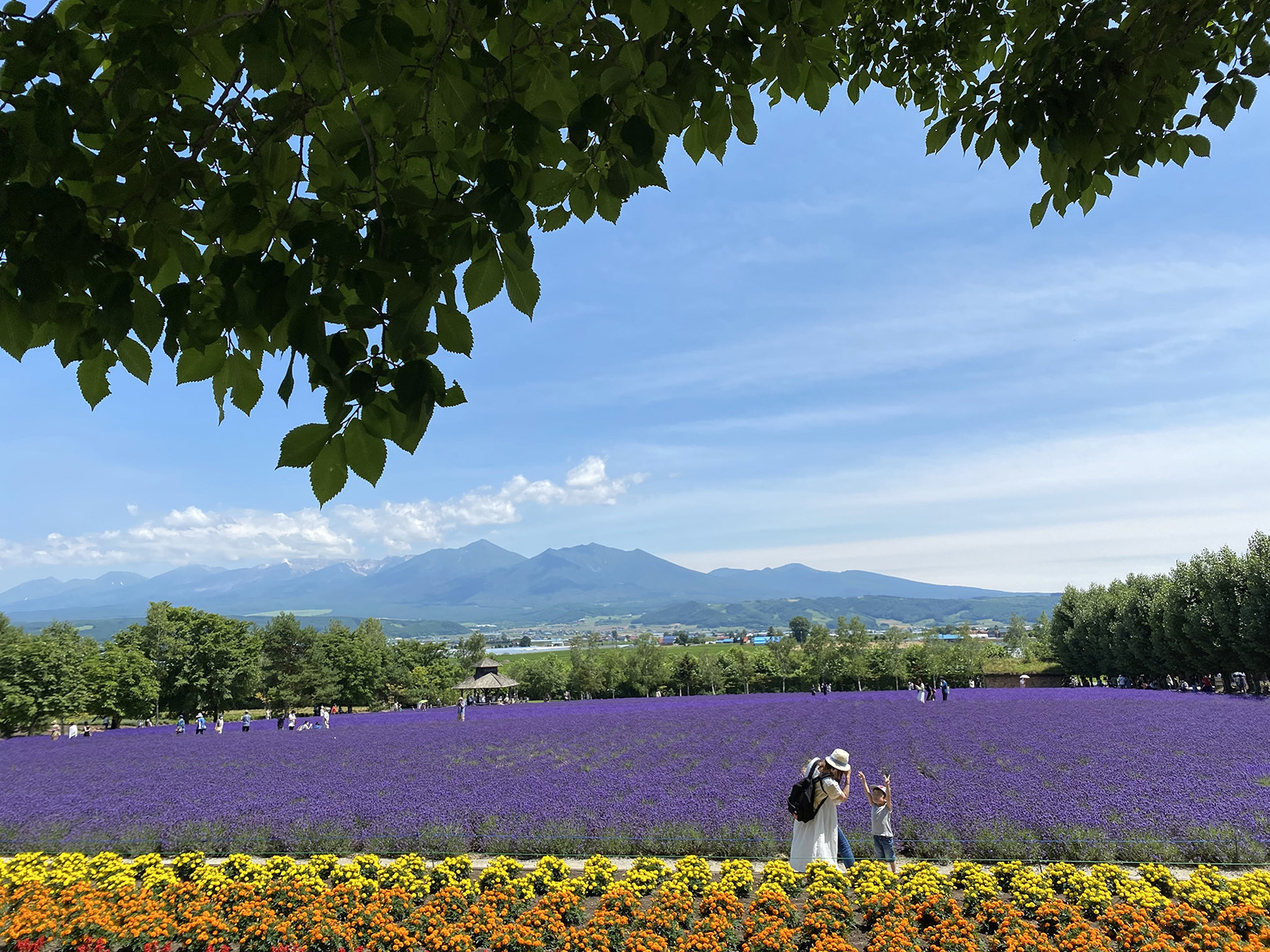 第７回 写真de俳句 ハシ坊と学ぼう 夏井いつきのおウチde俳句くらぶ